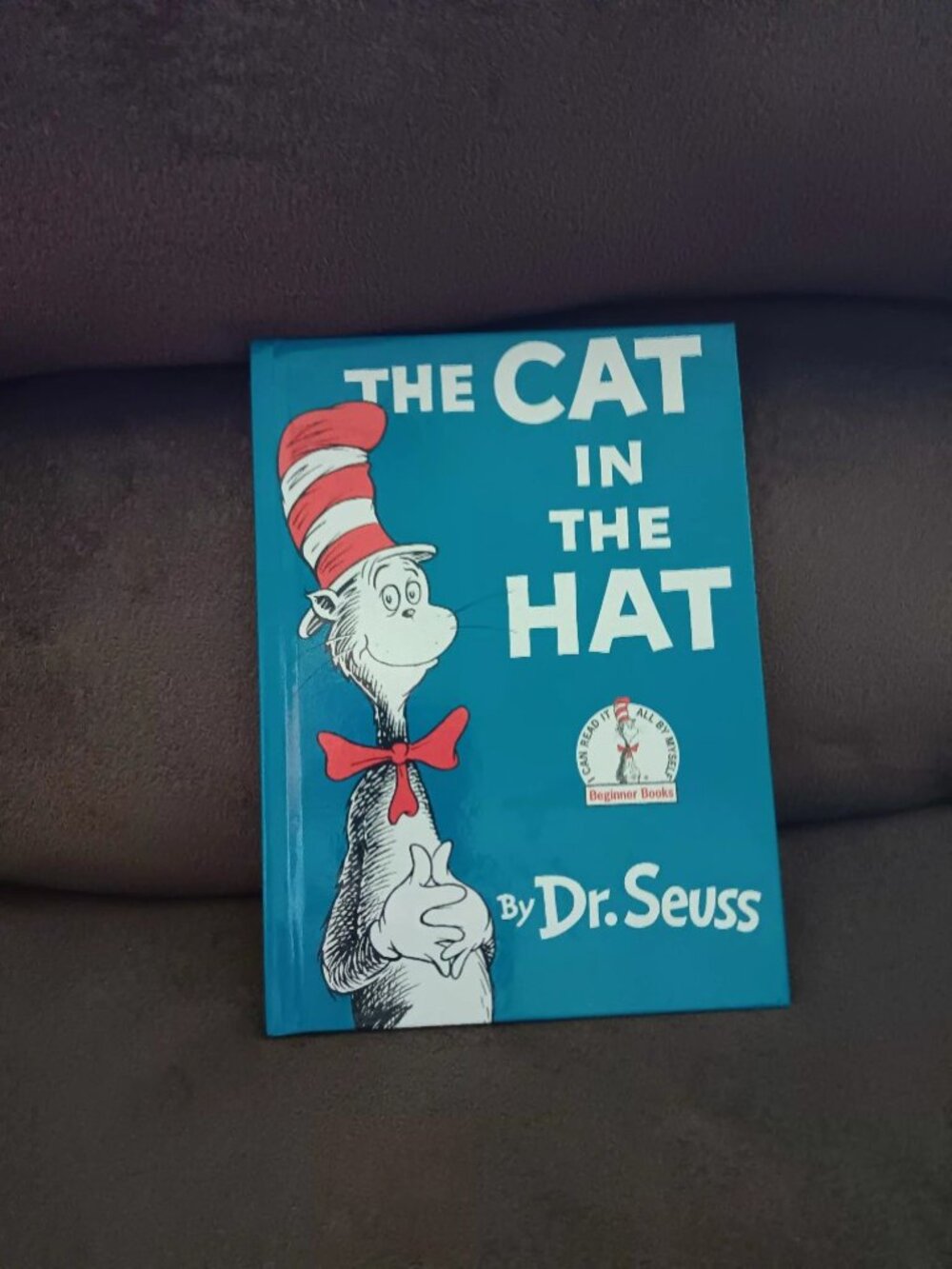 "The Cat in the Hat" book by Dr. Seuss